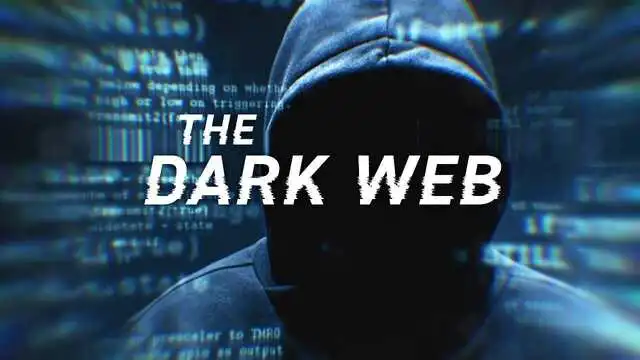 Dread darknet Dread Forum - о компании